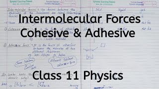 Intermolecular Forces  Cohesive and Adhesive  Chapter 9  Mechanical Properties of Fluids  11 [upl. by Sophi]