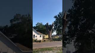 Tree Cutting Fails [upl. by Loughlin84]