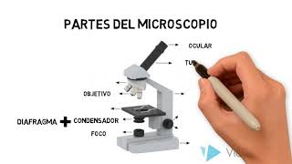 Microscopio óptico compuesto [upl. by Attekal]