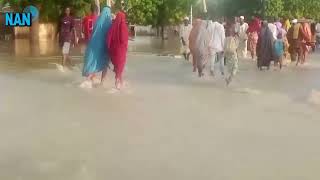 Maiduguri residents going back to the homes in Gwange Gomari wards and Lagos street [upl. by Aleak537]