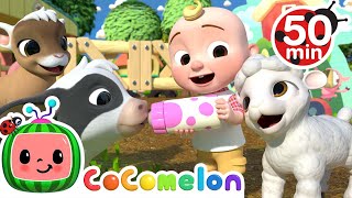 Old MacDonald Song  Baby Animals  More Nursery Rhymes amp Kids Songs  CoComelon [upl. by Aivekahs]