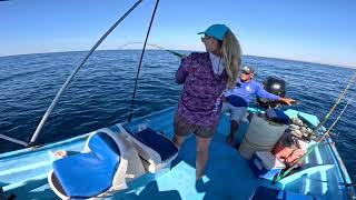 Deep Jigging For Sea Bass in Baja California Sur [upl. by Anitrak]