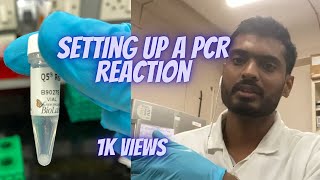 Setting up a PCR reaction DEMONSTRATION [upl. by Manon176]