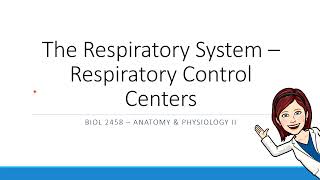 Ch 22  Respiratory Control Centers [upl. by Aikyt140]