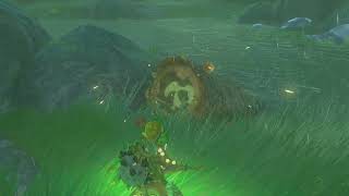 Korok Seed 199 Ralis Pond  The Legend of Zelda Tears of the Kingdom [upl. by Quintana132]