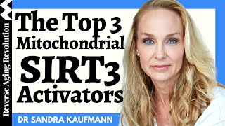 3 WAYS To Save Our Mitochondria amp TOP 3 Natural SIRT3 Activators  Dr Sandra Kaufmann Interview Clip [upl. by Duyne958]