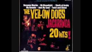 THE YELLOW DOGS Besame Mucho [upl. by Rednal]