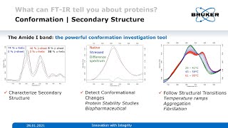 Basics of Protein Analysis and Secondary Structure Determination  FTIR Spectroscopy  Biosimilars [upl. by Aillil]