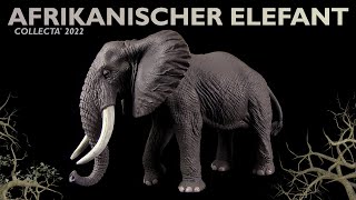 Collecta ® Afrikanischer Elefant  African Bush Elephant  Neuheit 2022 New  Review [upl. by Loydie778]