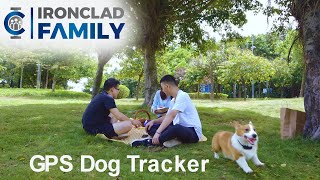 ICF Dog Tracker Video [upl. by Nahpos]