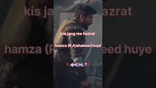 Islamic stutas shayari shortvideo islamicmusic islamicswaaljwaab [upl. by Leo]