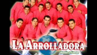 que lastima y que pena la arrolladora [upl. by Norina]