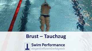 Brust Der korrekte Brust Tauchzug  Brustschwimmen Richtig lernen [upl. by Jacobsohn444]