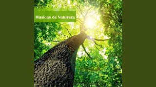 Musicas da Natureza Agua [upl. by Hambley]