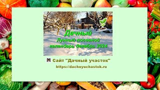 Лунный посевной календарь на декабрь 2024 года для садоводов и огородников [upl. by Anovad]