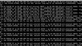 tcpdump Introduction [upl. by Holofernes745]