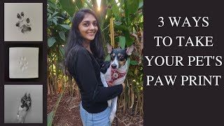 3 Ways On How To Take Your Pets Paw Print  Keepsake Of Your Dog  DIY [upl. by Enehpets]