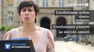 Histoire de comprendre  L’euthanasie [upl. by Nagn]