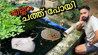 തിരണ്ടിയെ കാണാൻ ഇല്ല ശോ ചത്തുപോയോ  Stingrays are DEAD  Fishing Freaks [upl. by Fosdick]