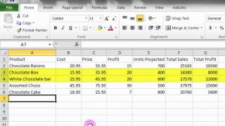 Microsoft Excel Tutorial A Basic Introduction [upl. by Zippora205]