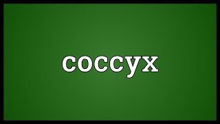 Coccyx Meaning [upl. by Tedie]