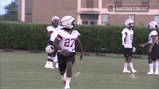 South Carolina Football First Practice 2013 [upl. by Yruam]