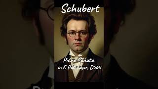 Schubert  Piano Sonata in E flat major D568 [upl. by Horsey147]