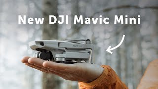 Cinematic Footage with the DJI Mavic Mini  HandsOn Review [upl. by Redmund787]