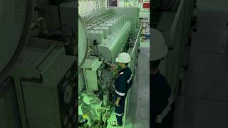 merchant navy  navy  shorts  navy life  song  navy status  ship  short video  cruise ship [upl. by Kenzie72]