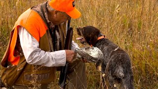 Sharptail Grouse Hunting [upl. by Farand24]