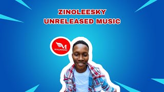 ZINOLEESKY UNRELEASED MUSIC 2024 [upl. by Erdnad388]