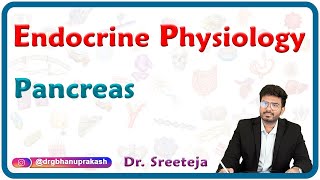 Physiology of Endocrine Pancreas  USMLE Step 1 [upl. by Torin]