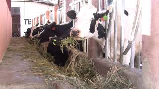 Carrera de Medicina Veterinaria y Zootecnia  UNL Documental [upl. by Cesar]