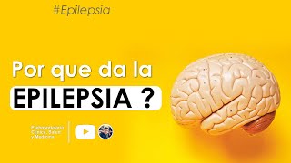 Cuales son las CAUSAS DE LA EPILEPSIA [upl. by Ellenaej]