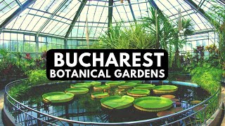 Bucharest City Bucharest Botanic Gardens Weekend Walk [upl. by Enirok274]