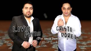 LIVIU PUSTIU amp CRISTI DOREL  DIN CAUZA BANILOR  Official Audio [upl. by Marijane]