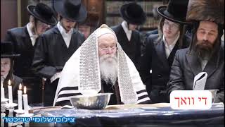 Kretchnif Rebbe Reading megillah  Purim 5784 [upl. by Erich]