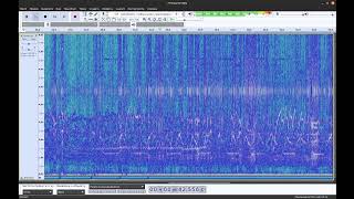 Sound geomagnetic field 21102024 start12103h 21h44m  accelerated 1000 times 1 Hz  1000 Hz [upl. by Bolan]