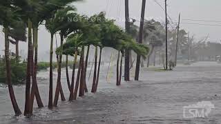 10092024 Venice Florida  Hurricane Milton  Storm Surge Nearing Homes  Strong Winds [upl. by Claudine550]