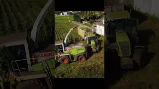 bonus clip de ensilaje farming simulator 22 vs real life farmingsimulator22 fs22 class ls22 [upl. by Ailatan]