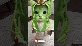 Fortnites Feline Phenomenon The Kitty Cat Craze [upl. by Notyap]