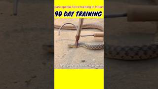 90 days training para commando army shorts trending paracommando shots viralchallenge [upl. by Eveleen]