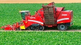 GRIMME MAXTRON 620  selfpropelled beet harvester [upl. by Junia110]