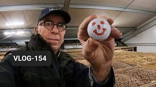 FARMVLOG 154 pootaardappelen golfbal sorteren opzakken [upl. by Brinn]