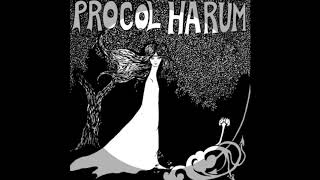 Homburg  Procol Harum  Instrumental [upl. by Nwahsuq856]