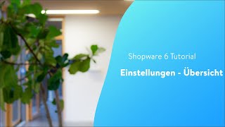 Einstellungen  Übersicht Shopware 6 Tutorial [upl. by Lenehc]