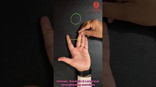 Hand Intrinsic Extrinsic amp Lumbrical muscles strengthening exercises youtubeshorts youtube [upl. by Ut]