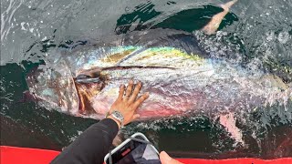 Boater Runs Over our 10000 FISH Commercial Bluefin Tuna Fishing [upl. by Basia]