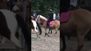 Маленькие всадники Little riders sport horse animals [upl. by Nueoht784]