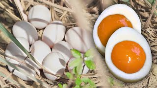 Make Salted Duck Eggs  Chinese Traditional Food   Salted Eggs Recipe  Easy Cooking Recipe [upl. by Tonia]